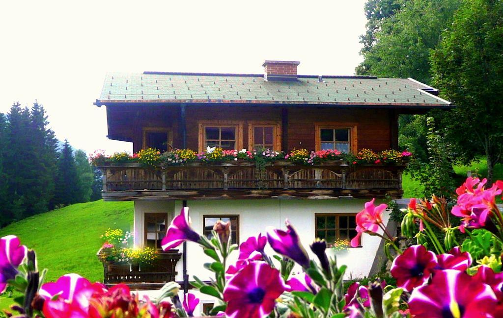 Chalet Kleinbergsonne Filzmoos Luaran gambar